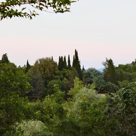Terre Toscane *