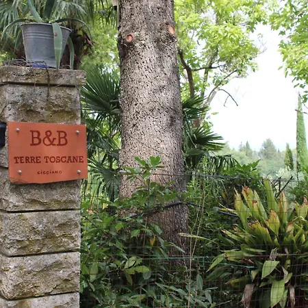 Apartment Terre Toscane Ciggiano