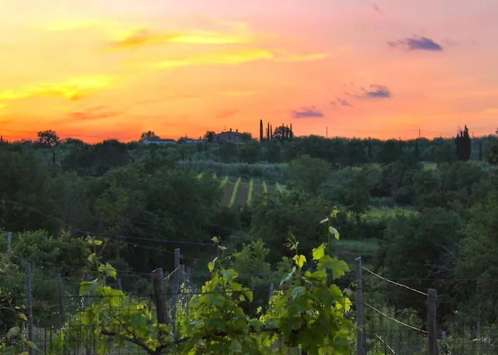 Terre Toscane Ciggiano