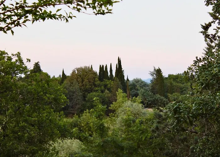 Terre Toscane *
