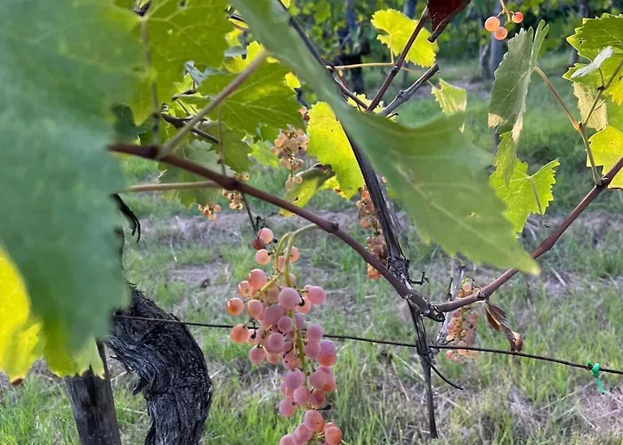 Apartment Terre Toscane