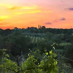 Terre Toscane Ciggiano