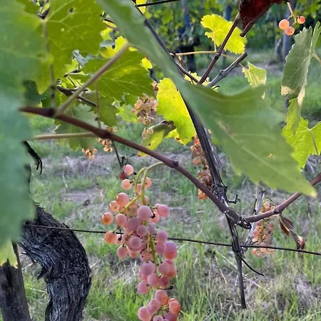 Апартаменты Terre Toscane