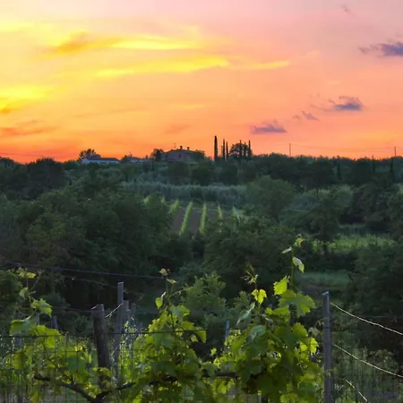 Terre Toscane Ciggiano