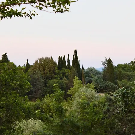 Terre Toscane *